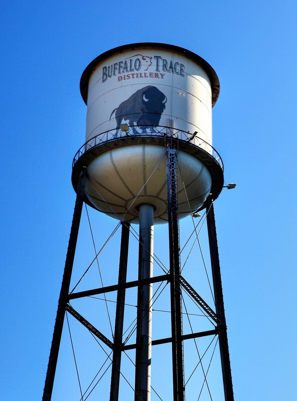 BTD Media Image