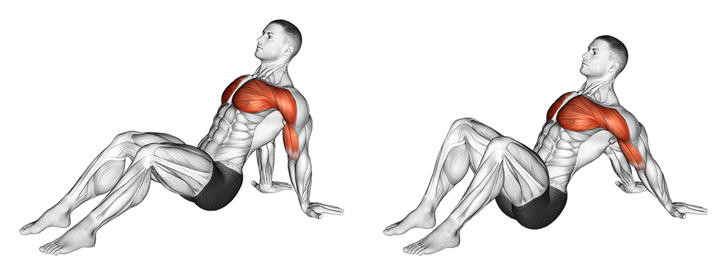 Seated Shoulder Extension Stretch (Cool Down)