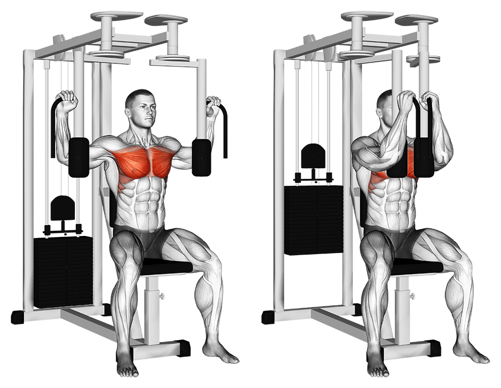 Best Chest Exercises for men