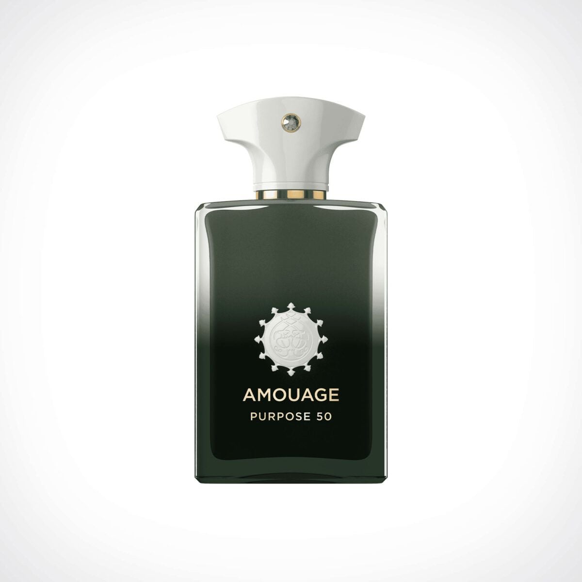 cosy fragrances
