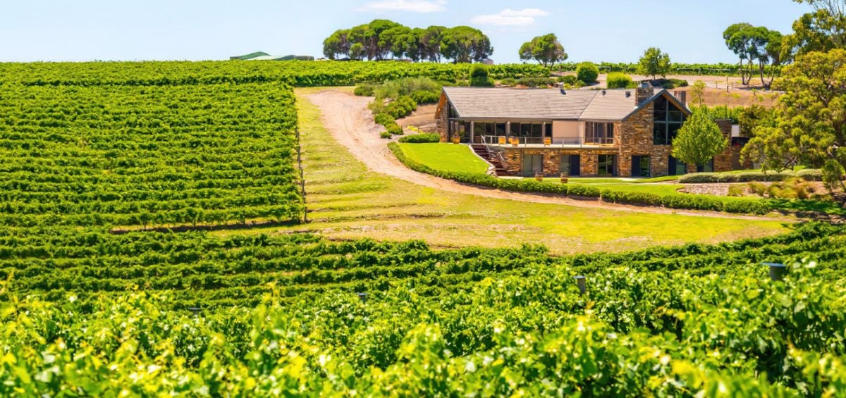 Chapel Hill Wine Club offer one of the best wine subscription services in Australia
