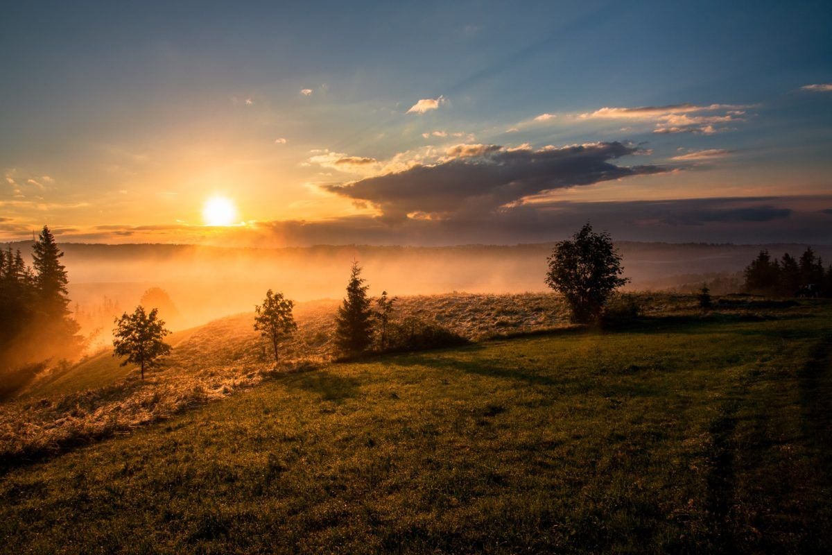dawid zawila G3rw6Y02D0 unsplash