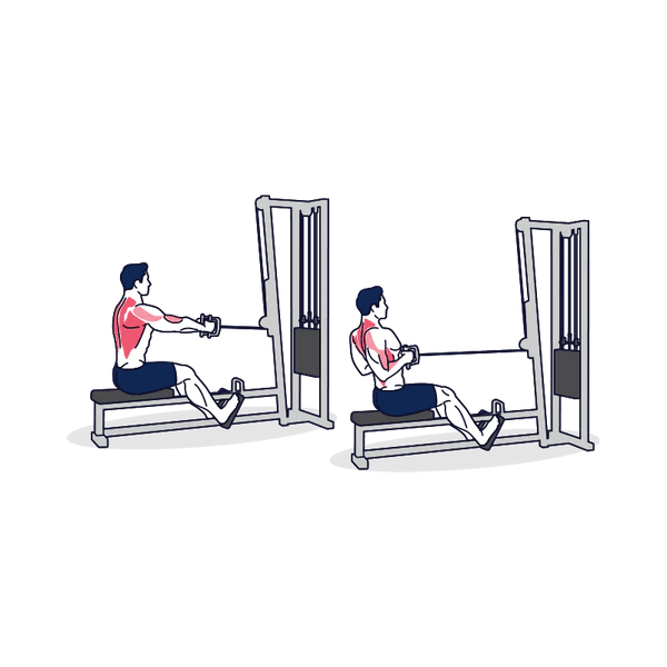 Seated Cable Row