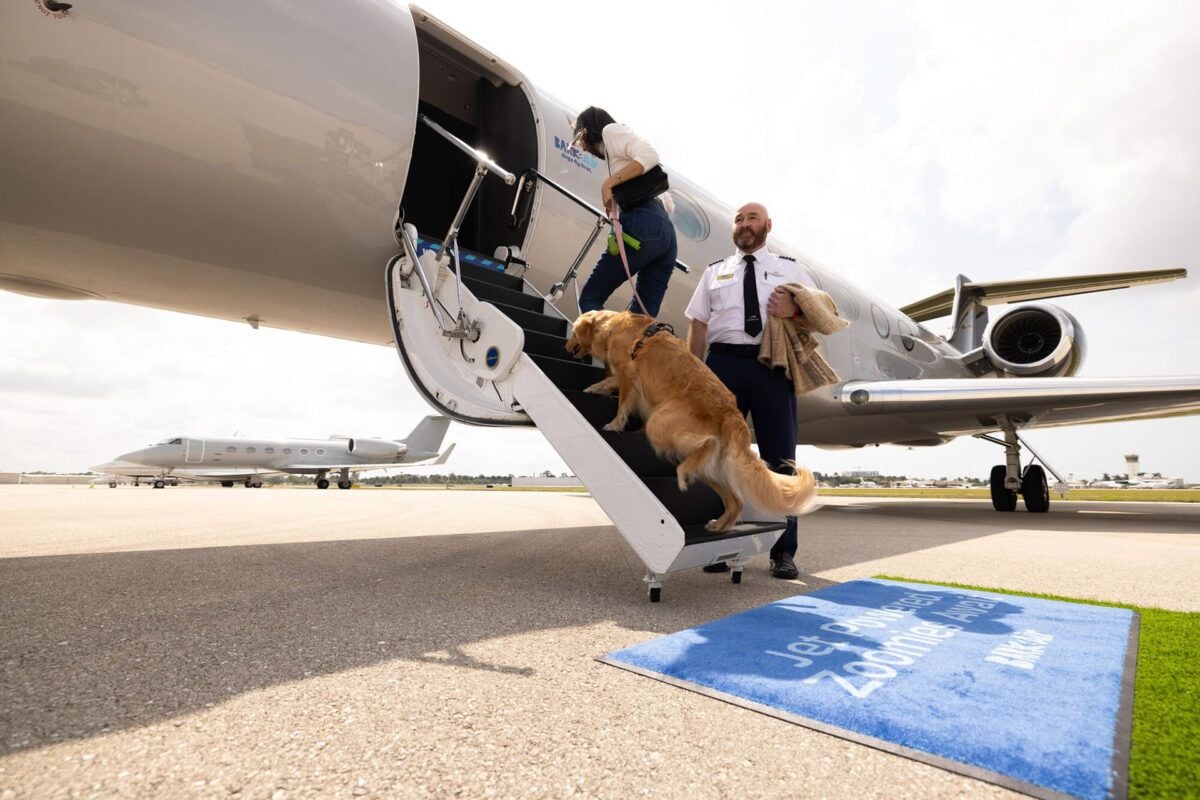 BARK Air
