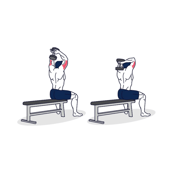 best tricep exercises