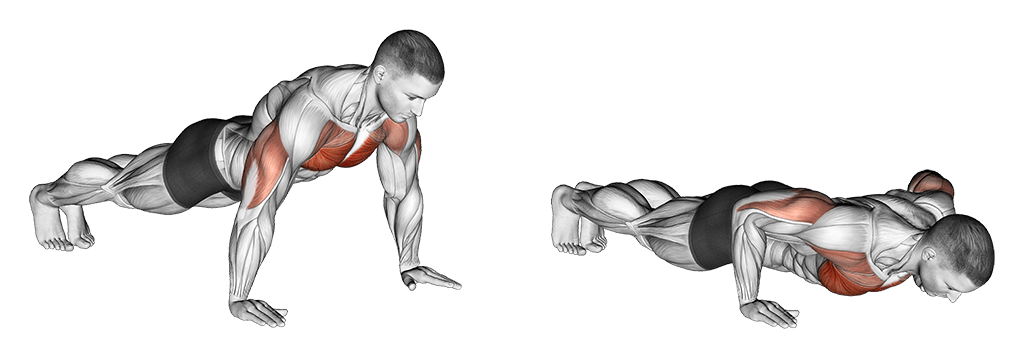 Push Up