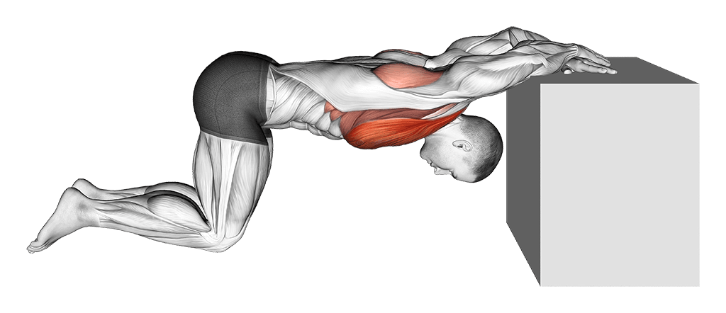 Kneeling Chest Opener Stretch (Cooldown)
