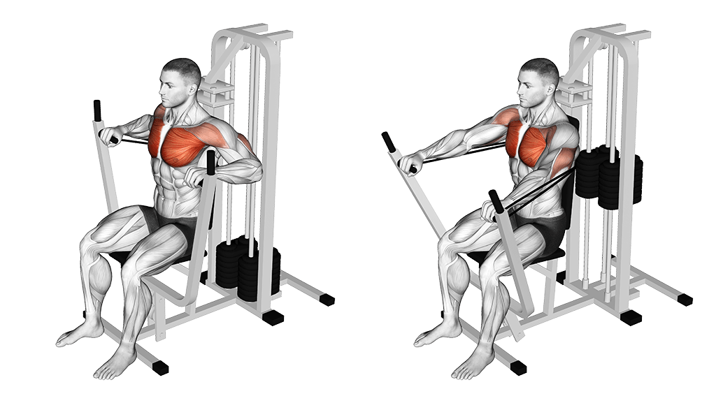 Best Chest Exercises for men