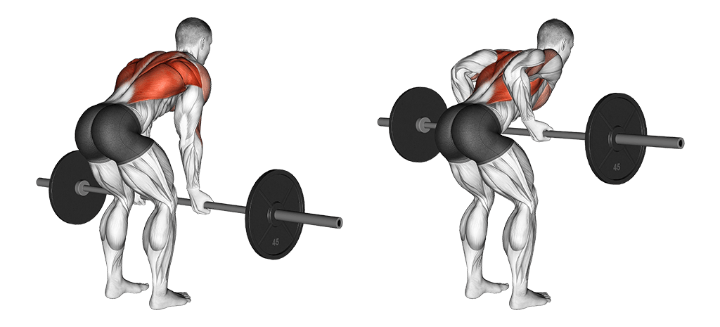 Reverse-Grip Bent-Over Row
