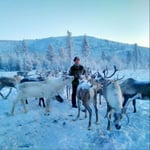 A herd of cattle standing on top of a mountain