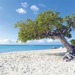 A sandy beach next to a body of water