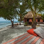 A beach with palm trees