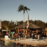 A group of people standing next to a palm tree