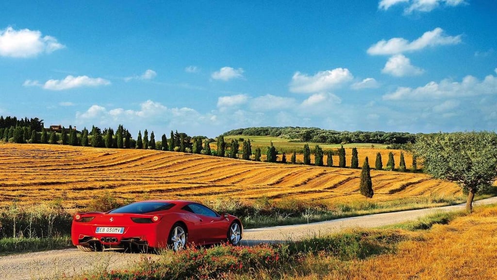 A car parked in a grassy field