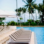 A row of palm trees next to a pool of water