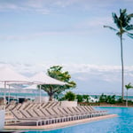 A row of palm trees next to a pool of water