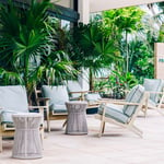 A dining room table in front of a palm tree