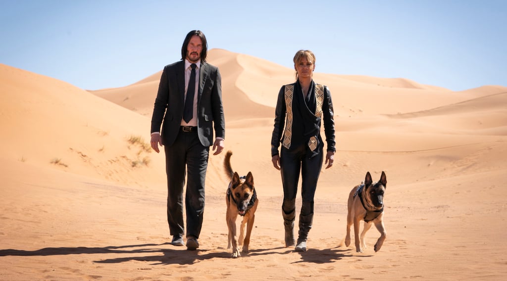 A man and a dog walking on a sandy beach