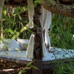 A tree on a table