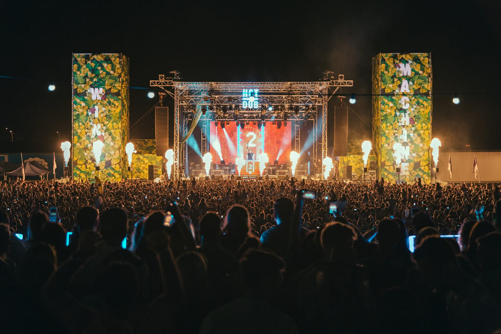 A group of people watching a band on stage in front of a crowd