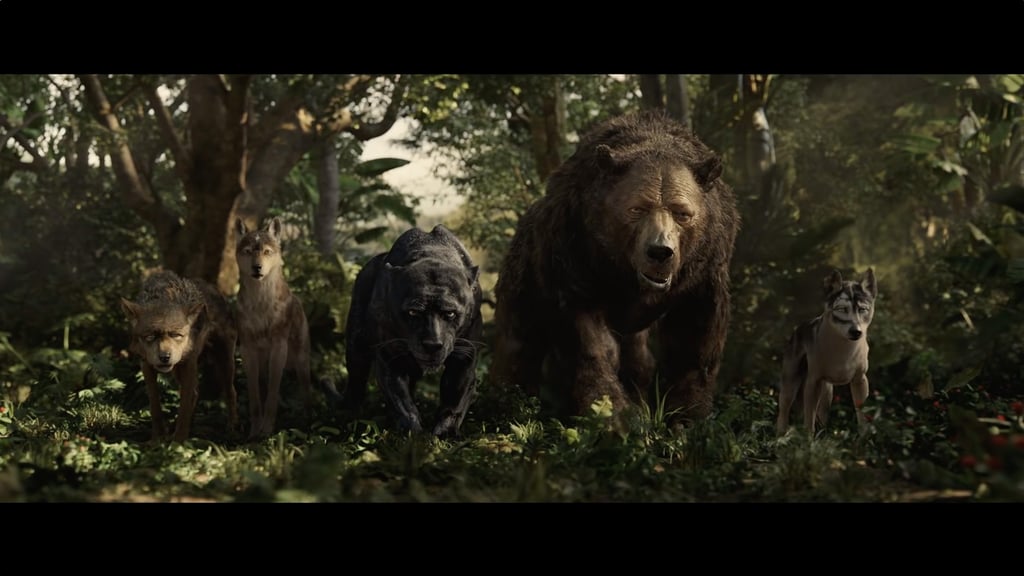 A brown bear walking through a forest