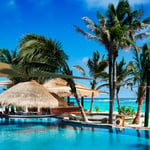 A beach with palm trees and a pool of water