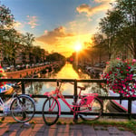 A bicycle parked on the side of a flower