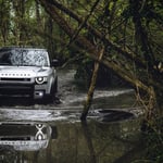 A car parked on pavement near a forest