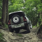 A car parked in a forest