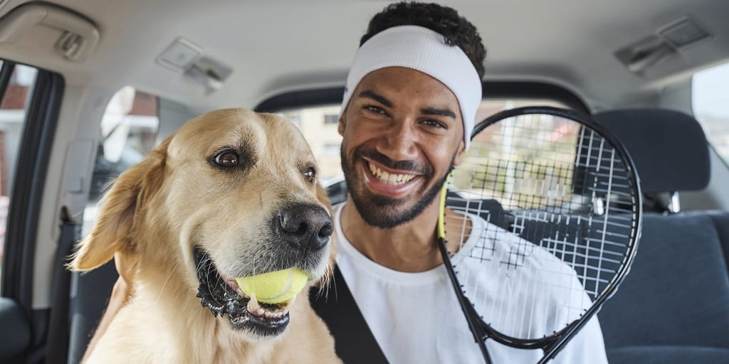 Uber Australia Launches A Pet-Friendly Option For Rides