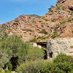 A close up of a hillside next to a rock wall