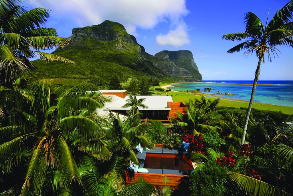 A beach with a palm tree with Lord Howe Island in the background