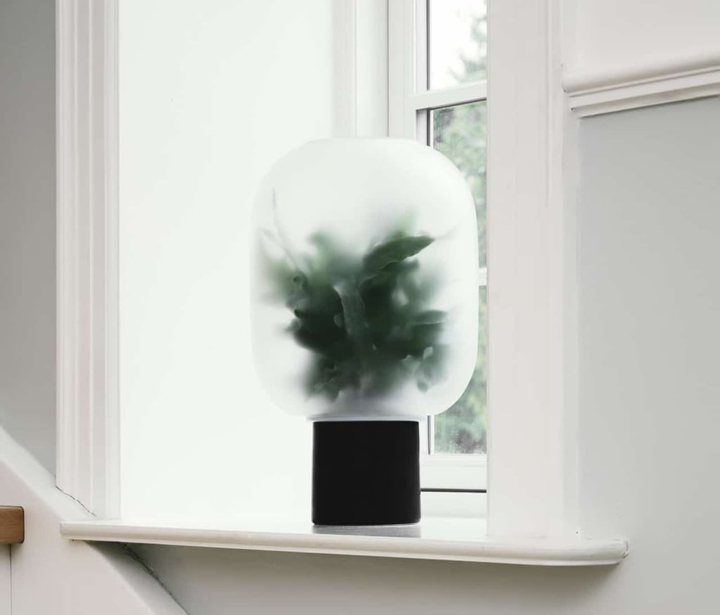 The Foggy Calm Of Nebl Potplants By Studio Rem