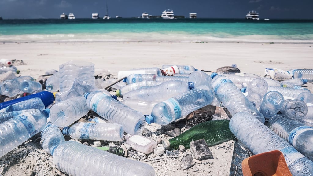 adidas Parley Sportswear Aims To End Plastic Pollution