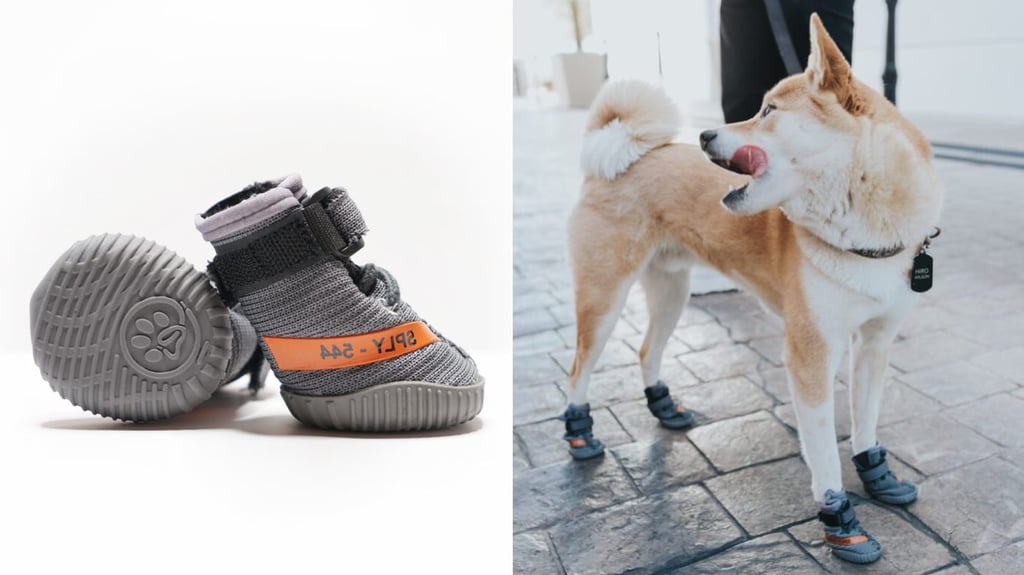 Fresh Pawz Release Dog YEEZY Sneakers