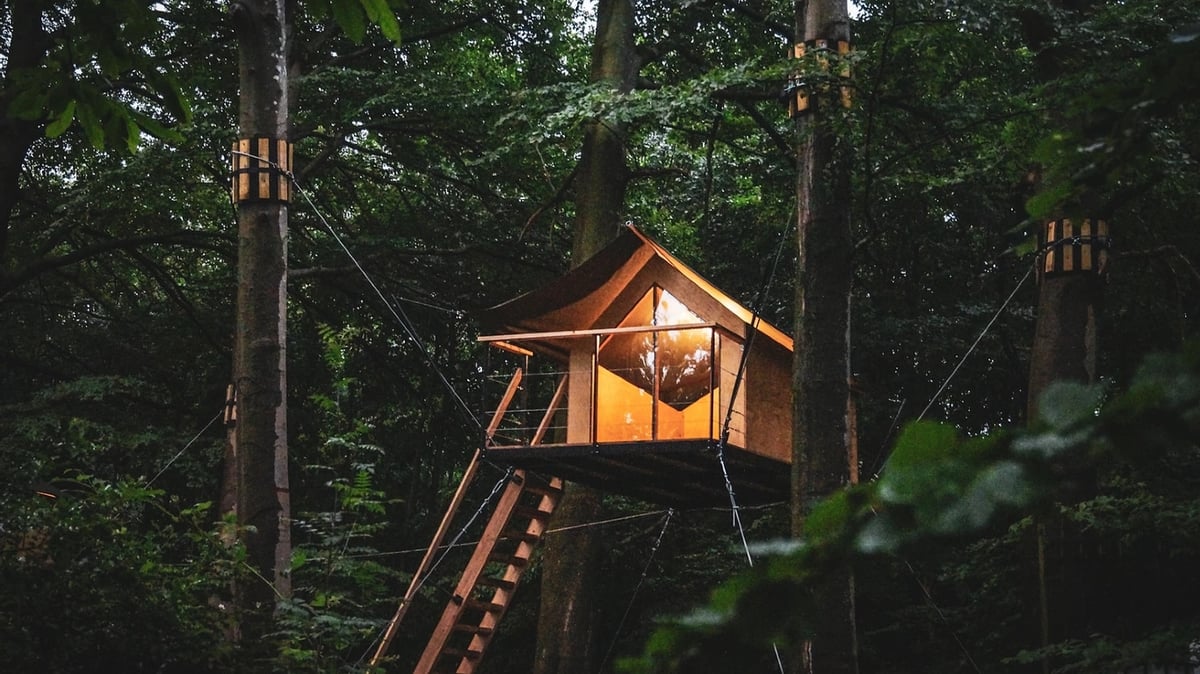 A sign in the middle of a forest