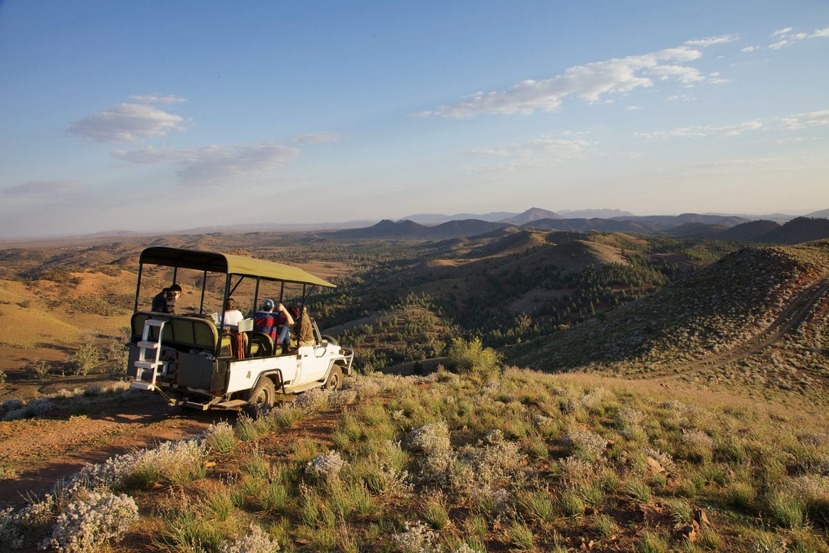 safari en australia