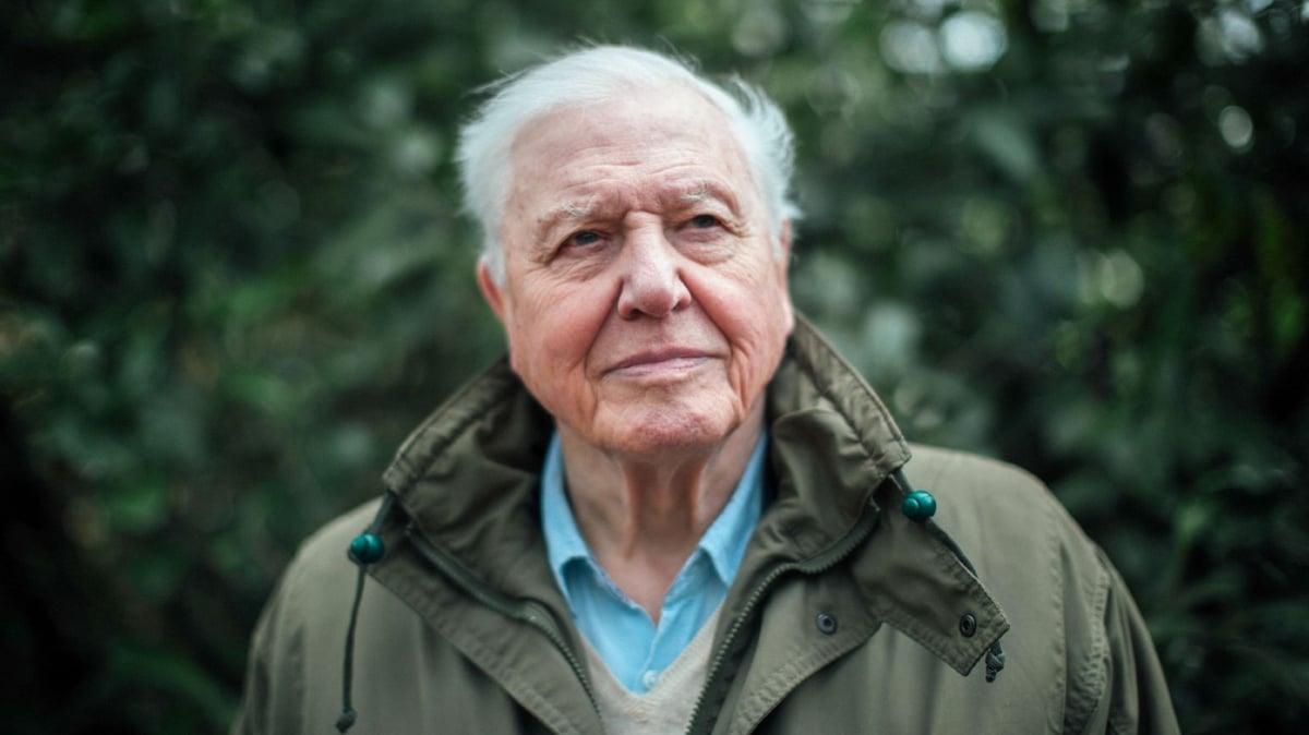 Sir David Attenborough Joins Instagram To Save The World