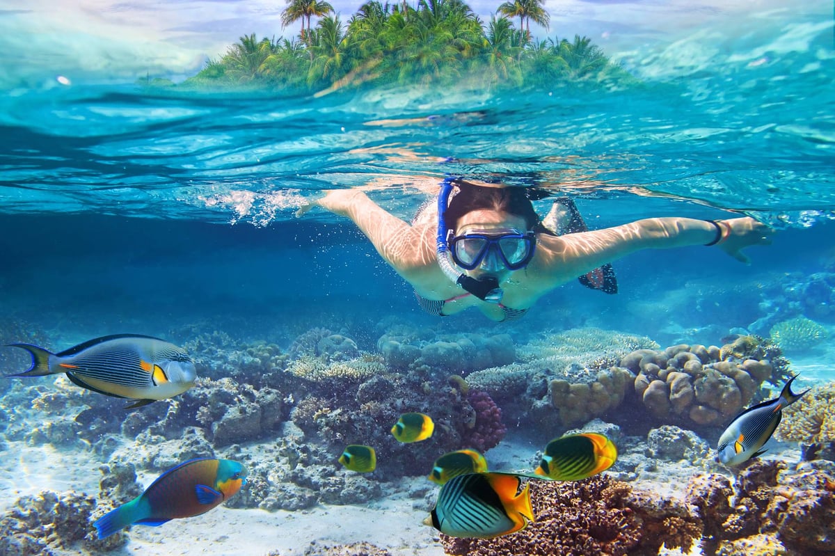 A person swimming in a body of water