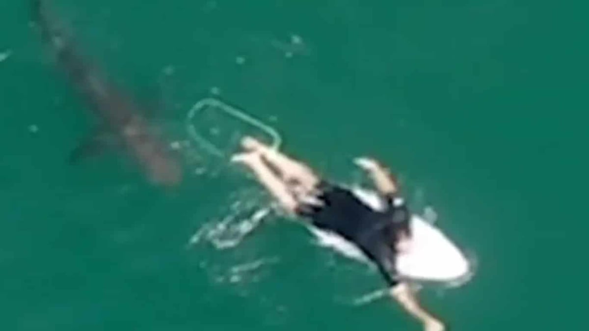WATCH: Aussie Pro Surfer Matt Wilkinson Narrowly Escapes Shark