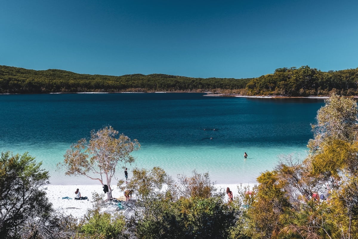 A group of people on a beach near a body of water