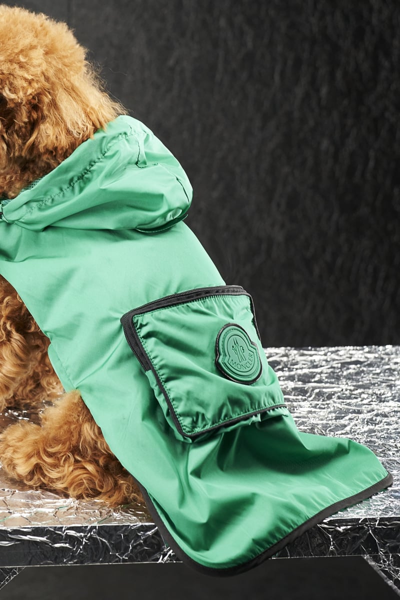 Moncler Dog Couture