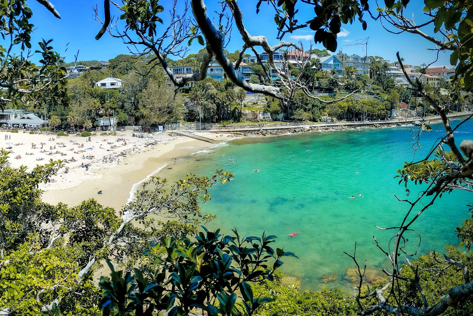 Shelly Beach Manly