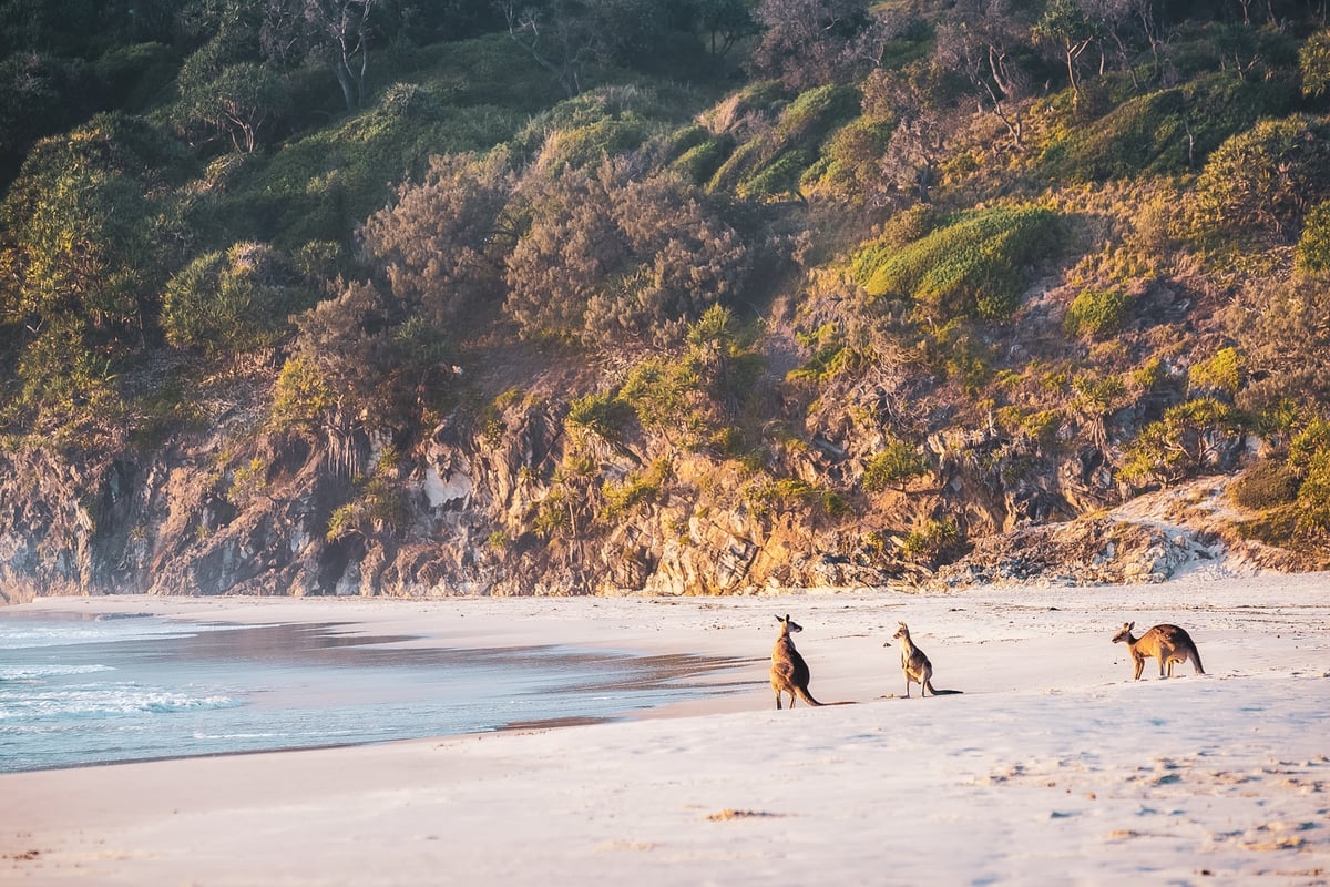 A group of people on a beach with a mountain in the background