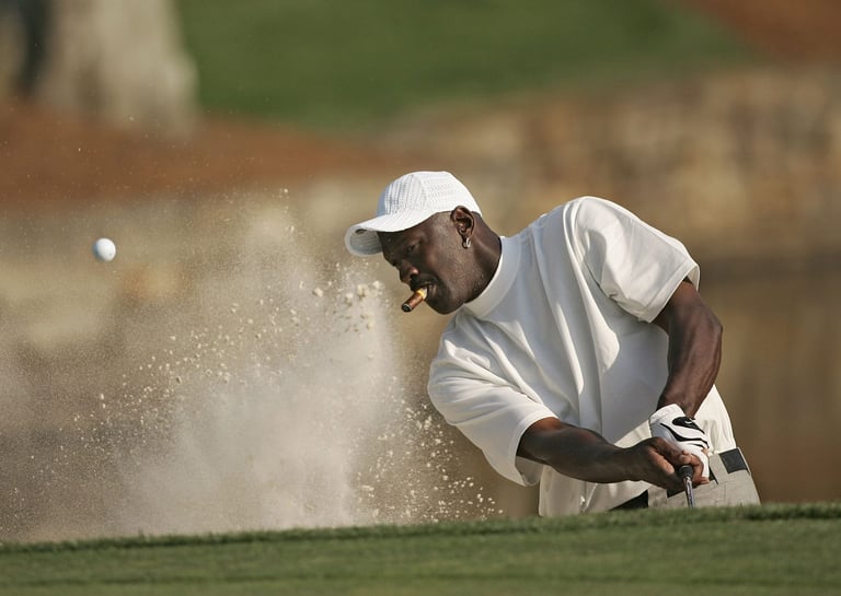 Golfer Holding Golf Club and a Louis Vuitton Bag, MWButterfly