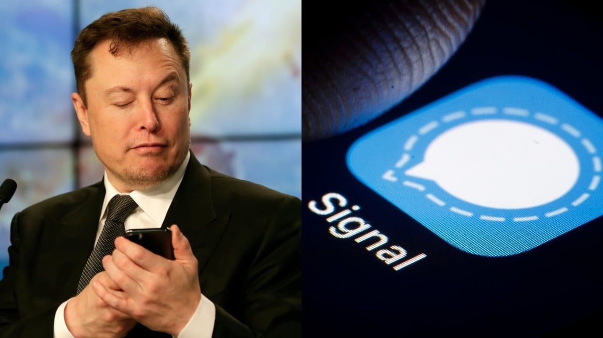 Elon Musk Signal Advance Share Price