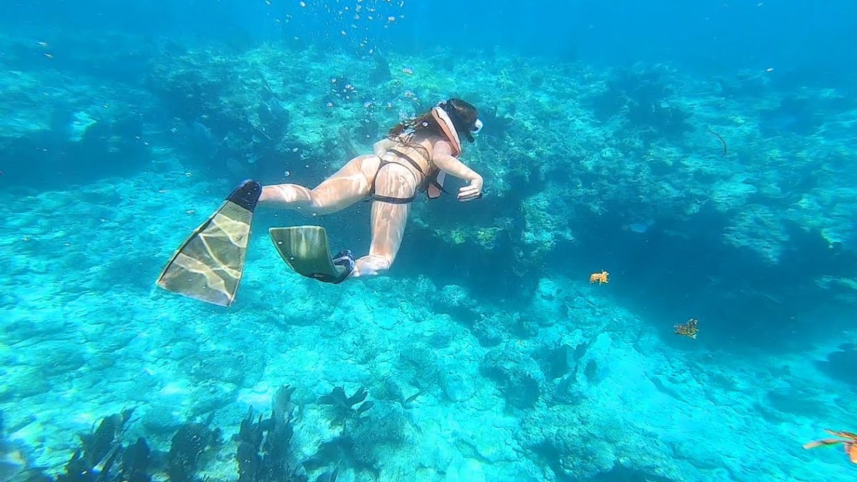 florida keys good samaritan cocaine snorkelling