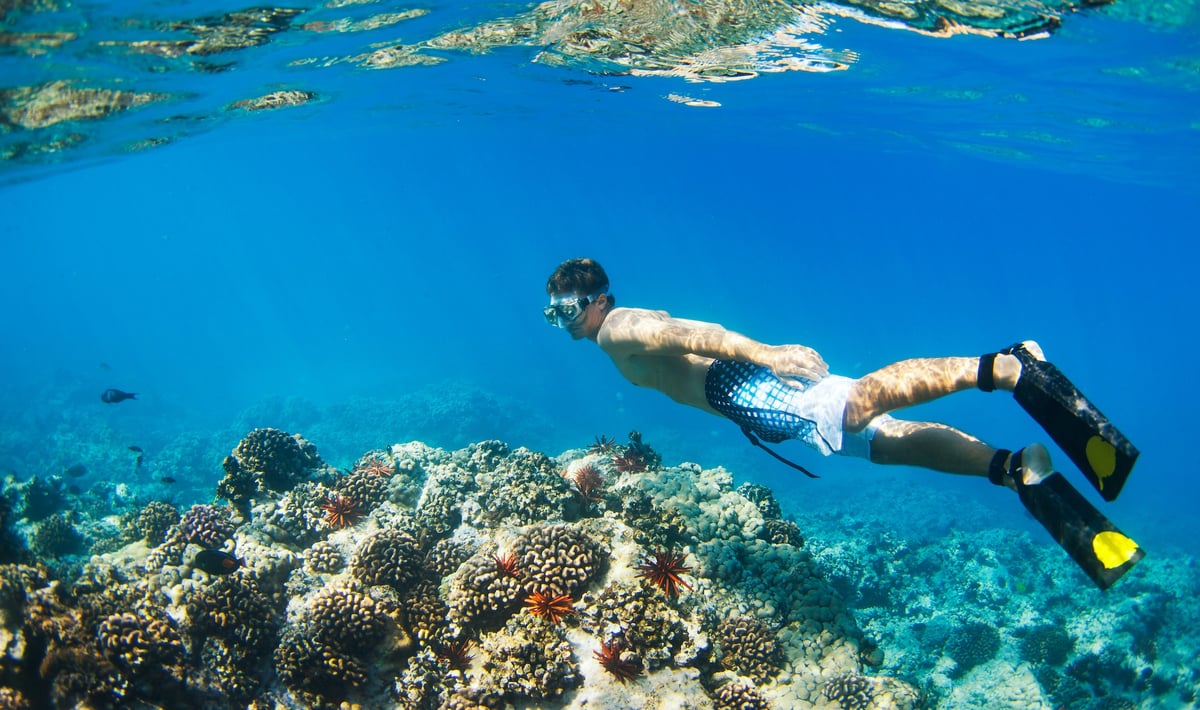 florida keys cocaine snorkelling