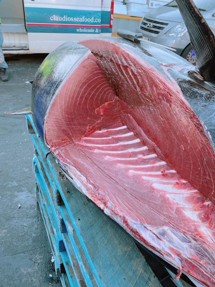 sydney fish market tuna