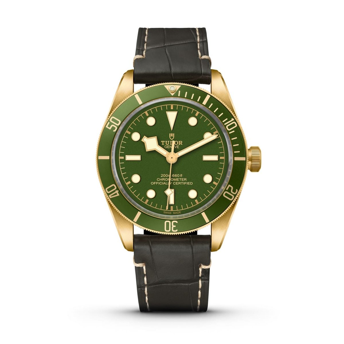 Tudor Watches 2021